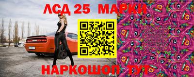 гидропоника Гагарин