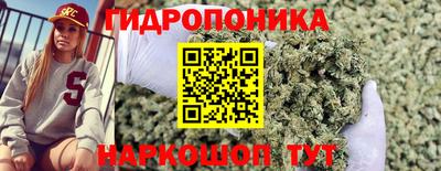 гидропоника Гагарин